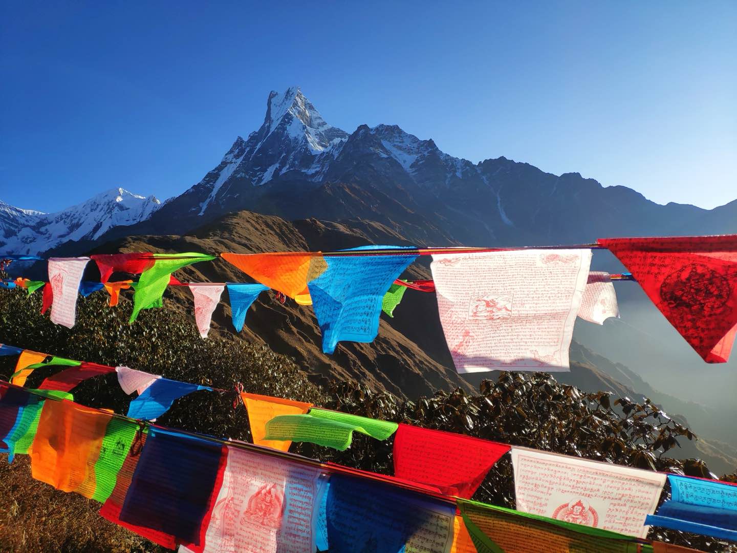 Updated Nepal Tourist Visa Rules: New Entry Requirements Effective January 24 Updated Nepal Tourist Visa Rules: New Entry Requirements Effective January 24