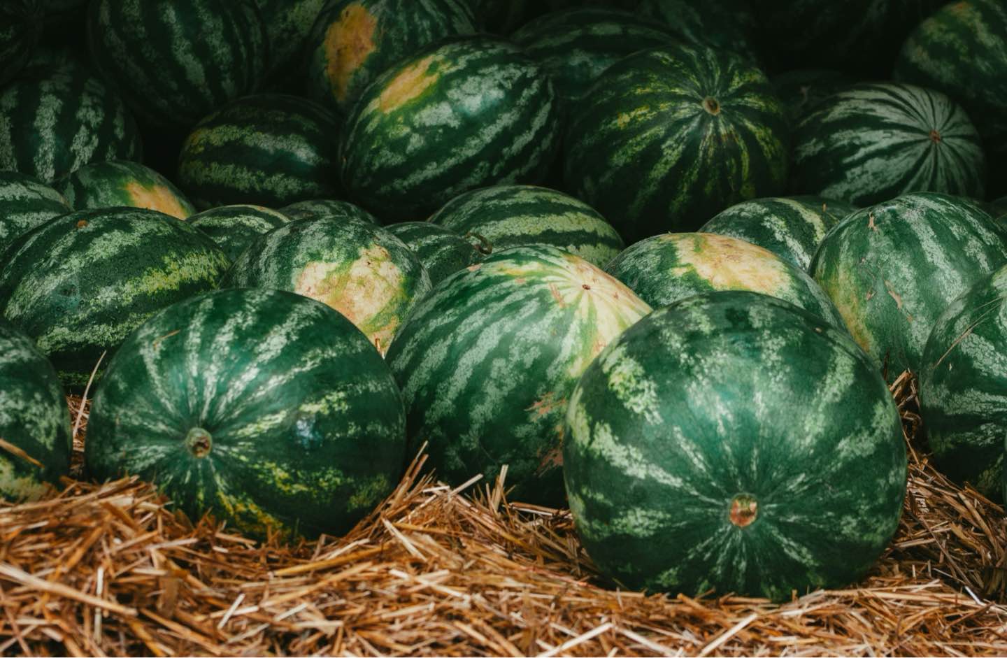 Kareshmaa Kaur Pleads Guilty to Cocaine Trafficking in Watermelons Kareshmaa Kaur Pleads Guilty to Cocaine Trafficking in Watermelons