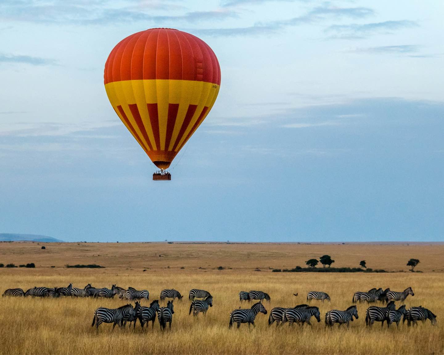 President Ruto Unveils Visa Changes to Boost Cruise Tourism in Kenya