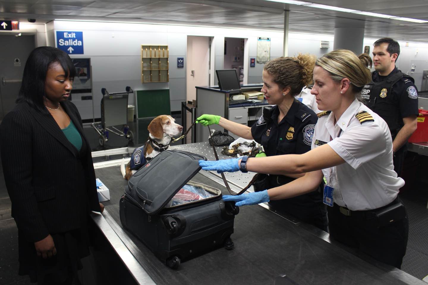 Customs Process on International Flights: When and What to Expect