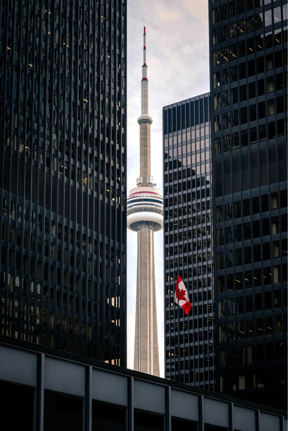 Ontario Colleges Face Major Impact from Student Visa Cap