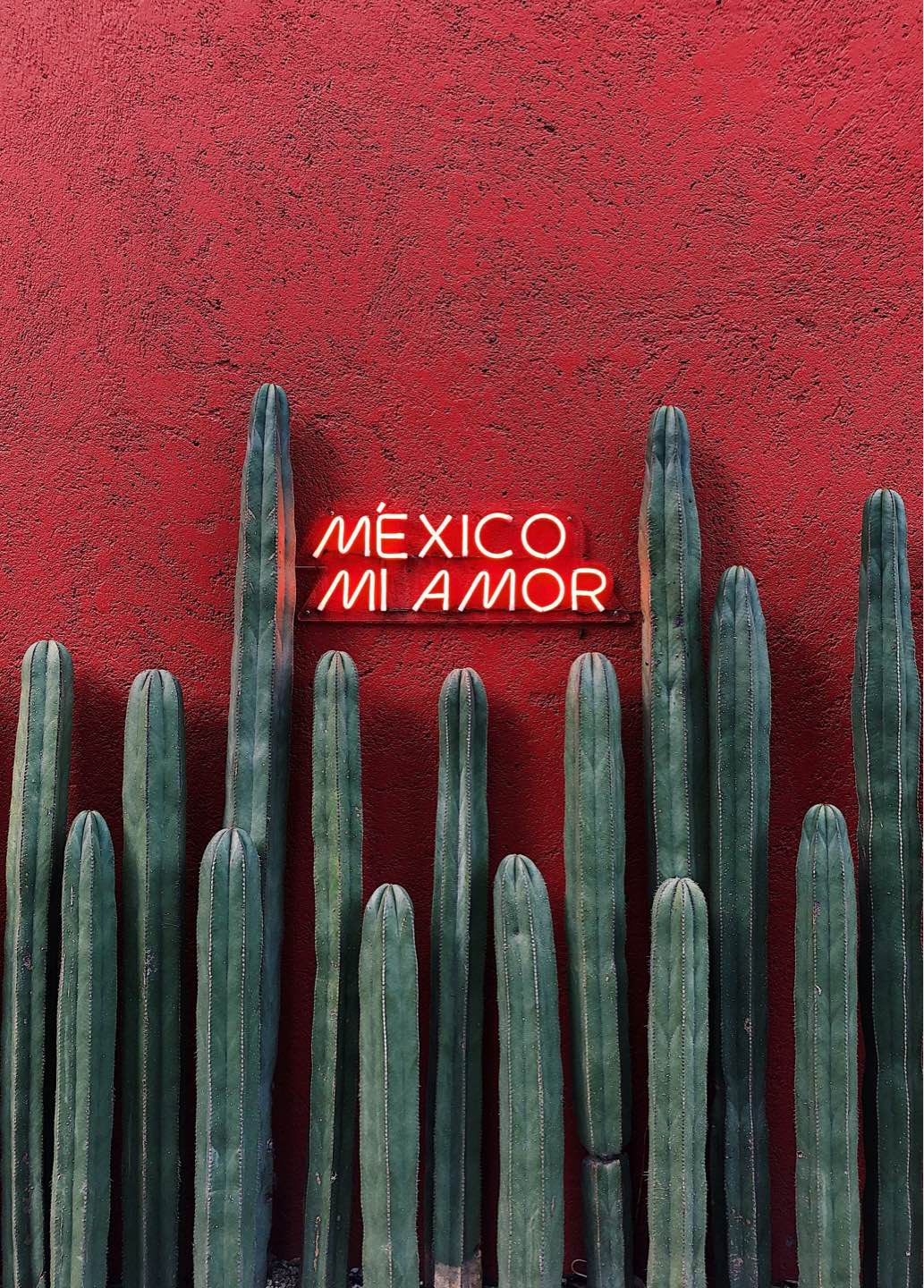 Step-by-Step Guide to Obtaining Mexican Citizenship: Key Documents and Process Step-by-Step Guide to Obtaining Mexican Citizenship: Key Documents and Process