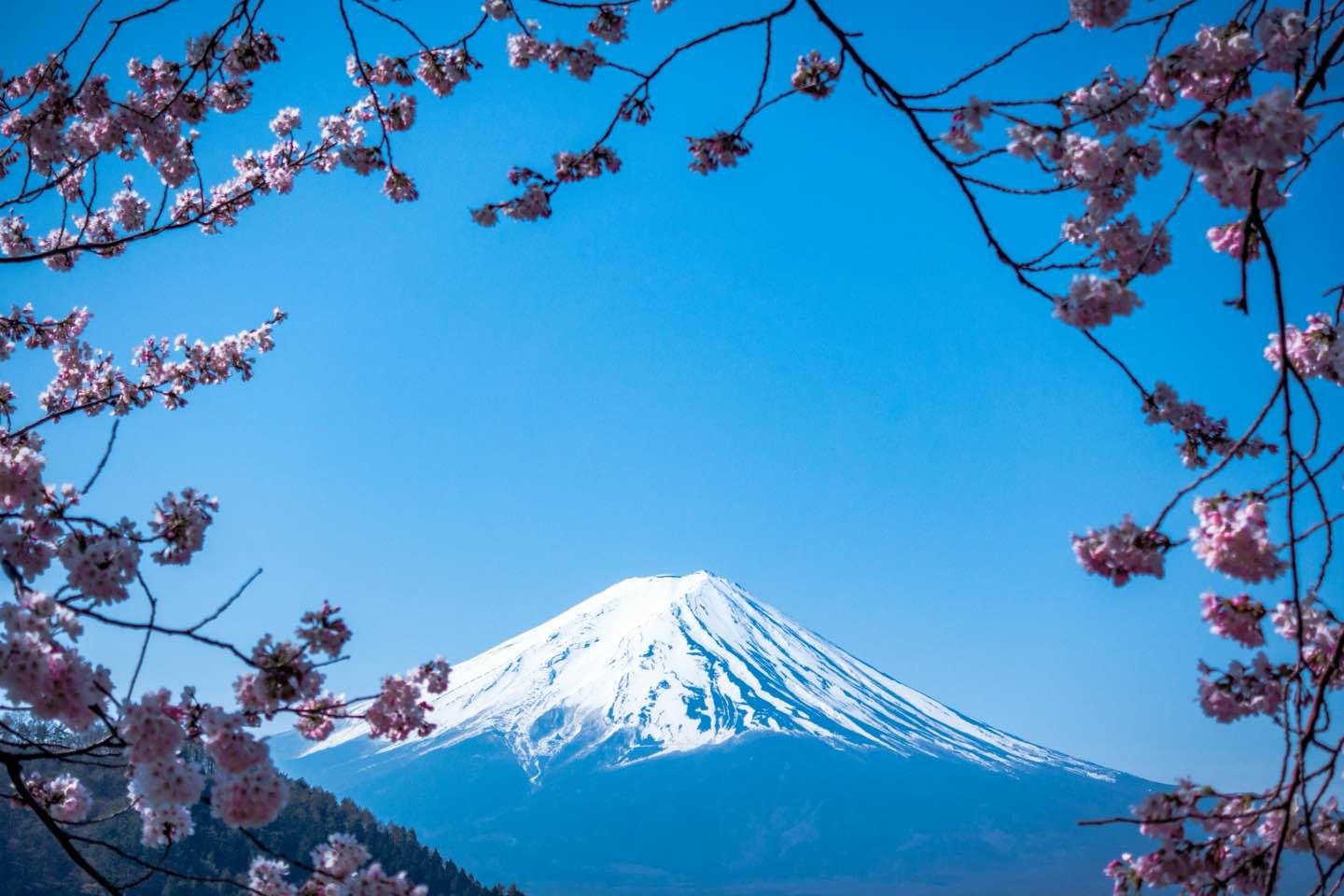 Guía para la Visa de Nómada Digital en Japón: Requisitos y Solicitud Guía para la Visa de Nómada Digital en Japón: Requisitos y Solicitud