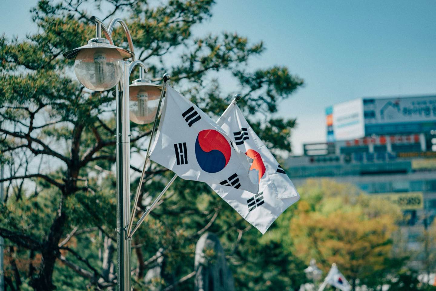 Korean Auto Giants Fear US Visa Cuts: Impact on Automotive Investment Korean Auto Giants Fear US Visa Cuts: Impact on Automotive Investment