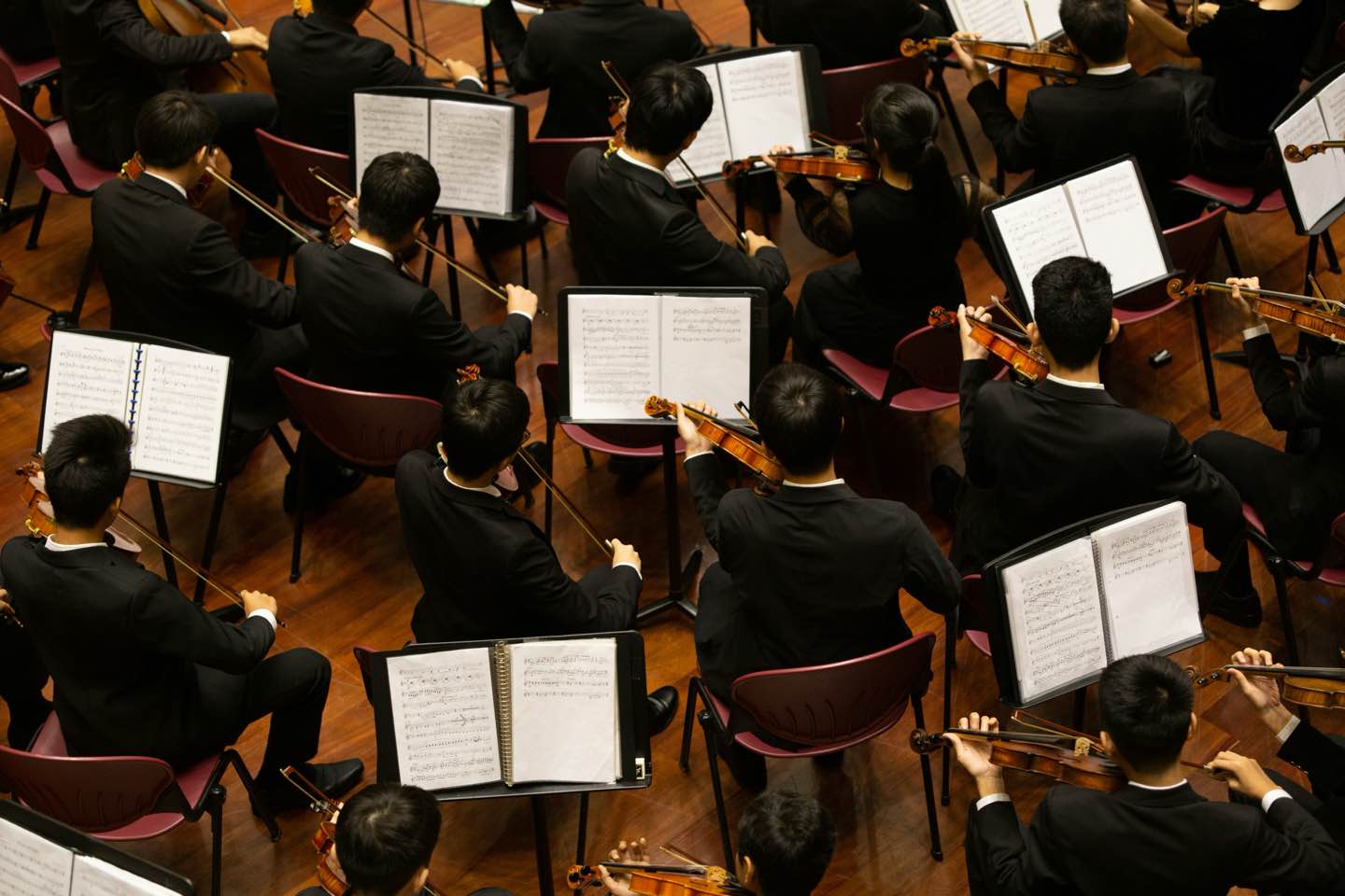 Afghan Youth Orchestra UK Tour Secured: Visa Denial Overturned for Southbank Show! Afghan Youth Orchestra UK Tour Secured: Visa Denial Overturned for Southbank Show!