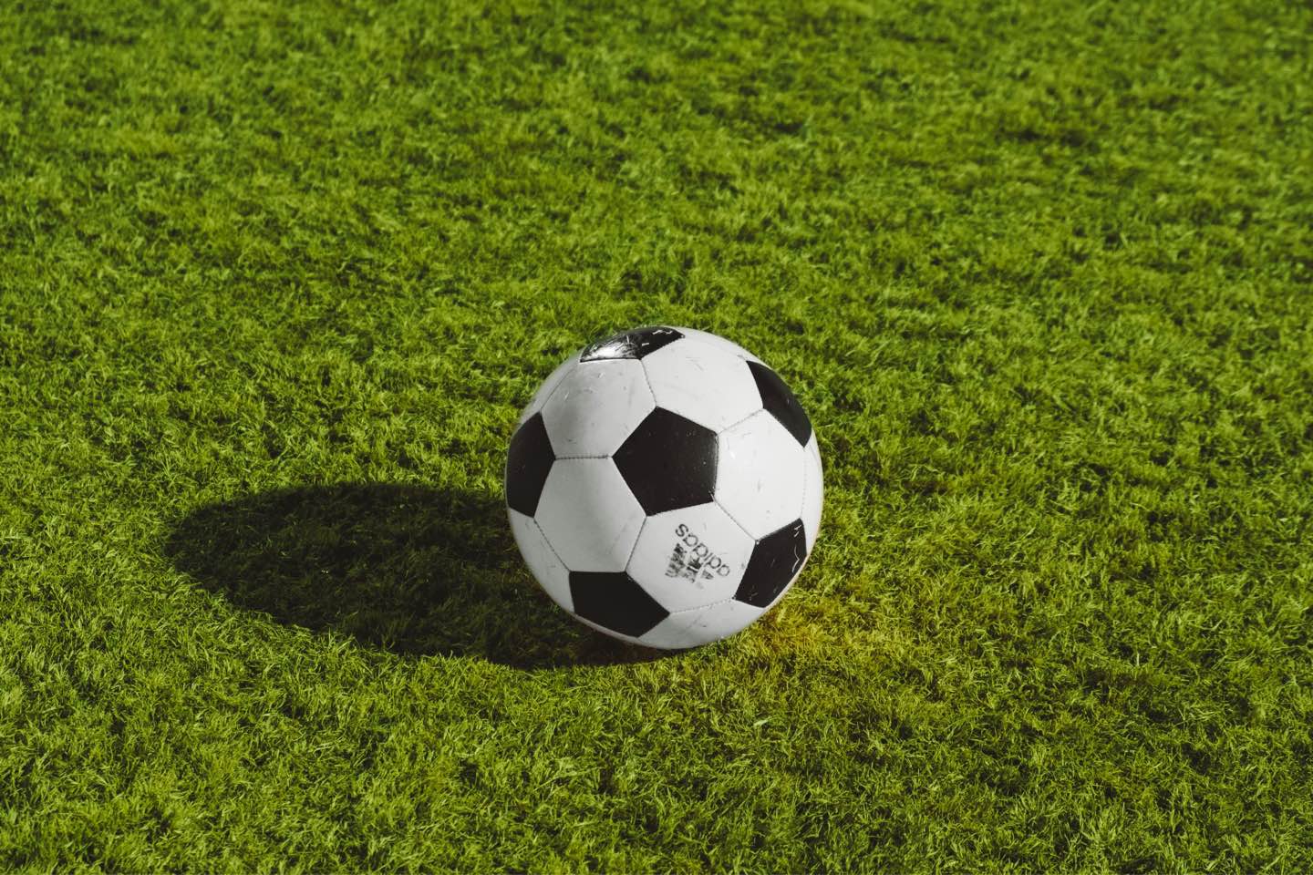 World Cup Visa Processing Delays for U.S. Entry World Cup Visa Processing Delays for U.S. Entry