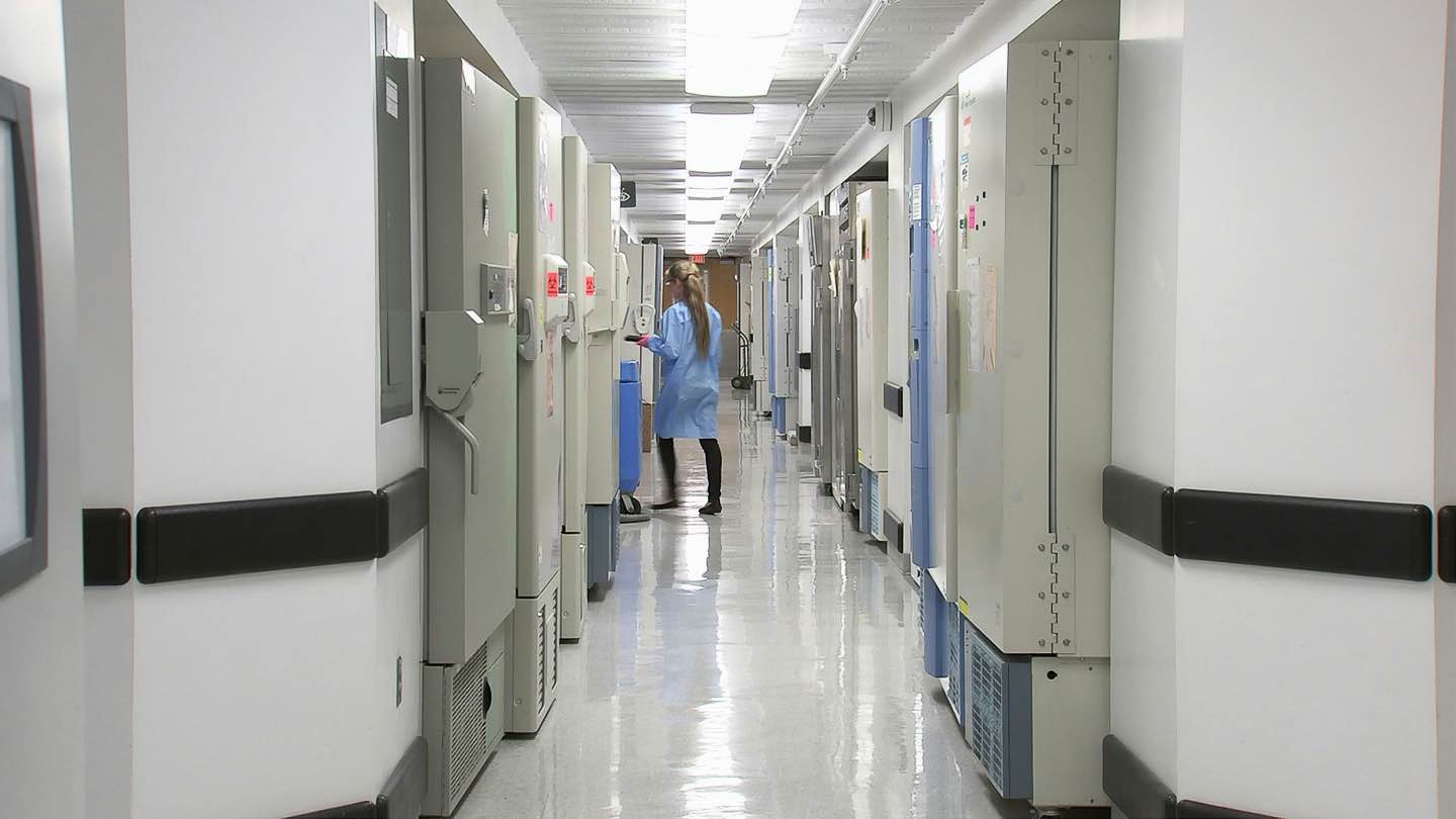 Shocking Exploitation: Migrant Care Workers Paid Below £5/hr in the UK Shocking Exploitation: Migrant Care Workers Paid Below £5/hr in the UK
