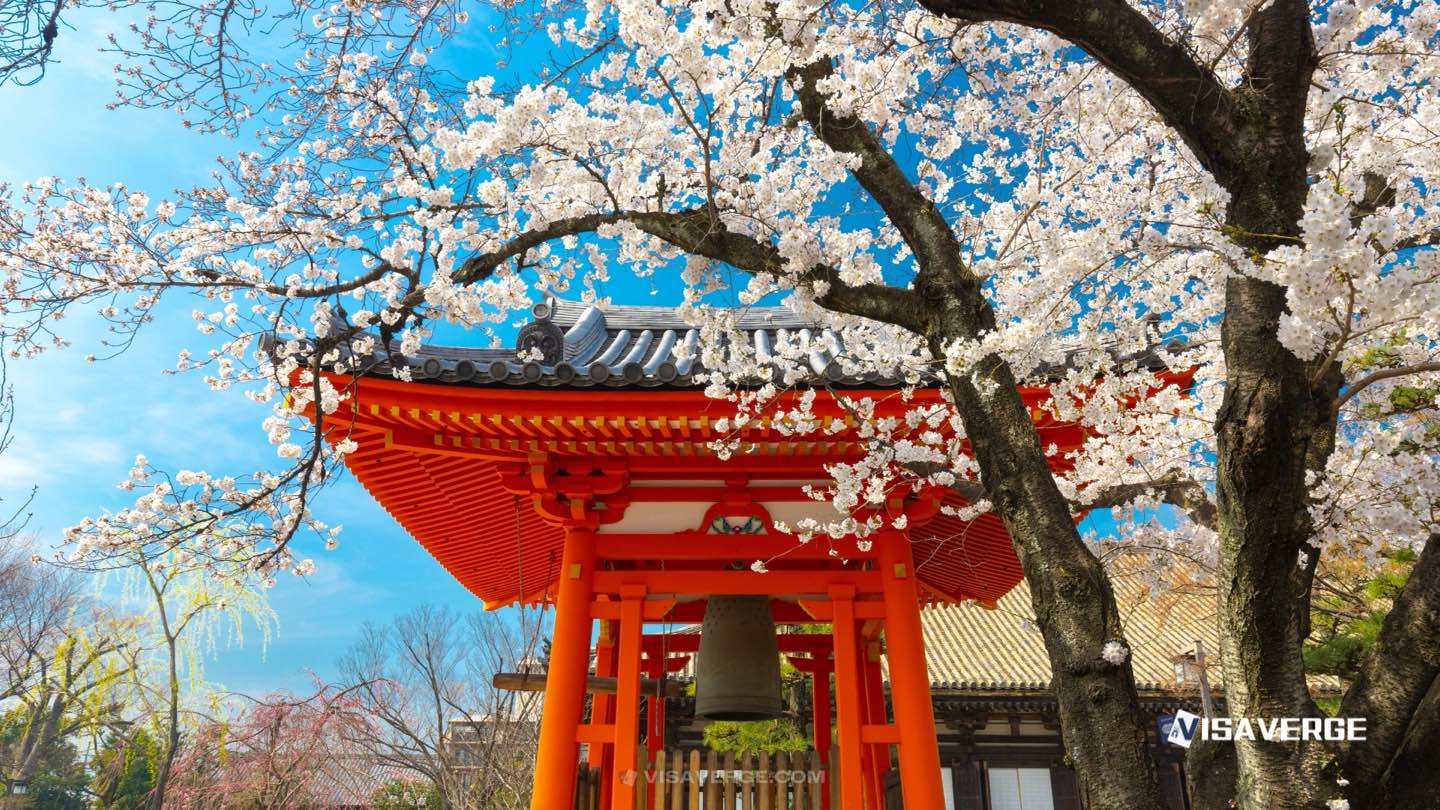 Japanese Universities Vie for Chinese Students Amid Global Competition