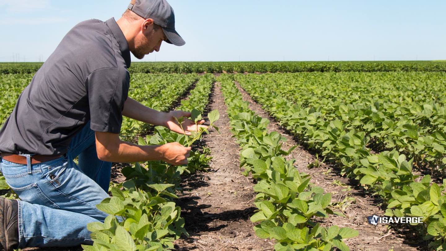 Canadian Agriculture Faces Impact from Temporary Immigration Cuts