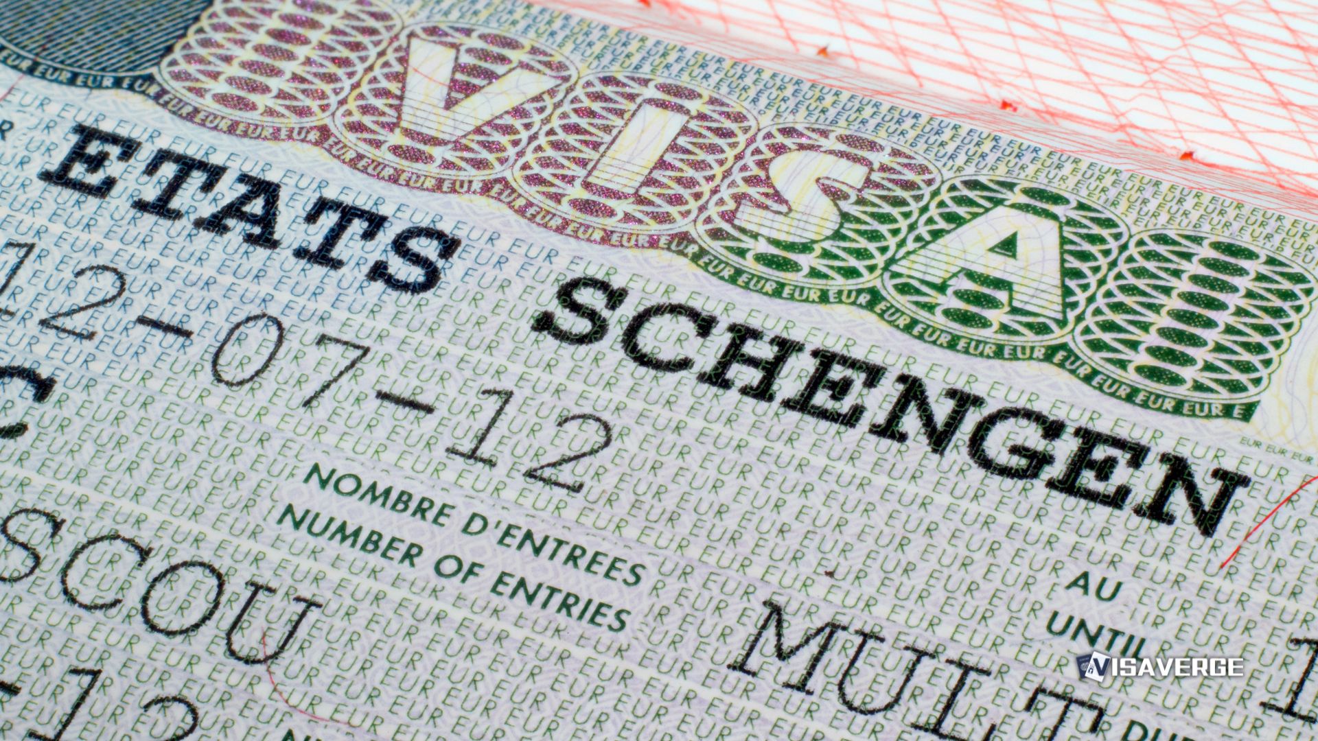 Schengen Visa Fingerprints After Rejection What To Answer