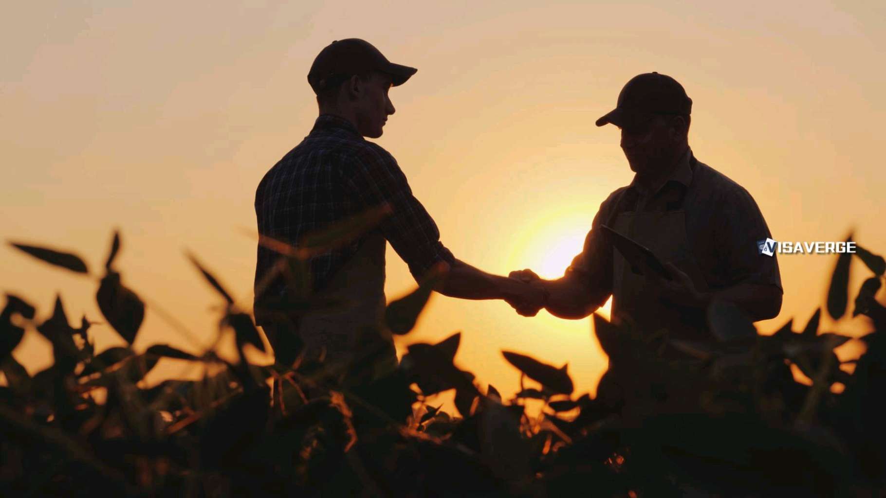 Farm Groups Urge Trump to Rethink Deportation Plan Farm Groups Urge Trump to Rethink Deportation Plan