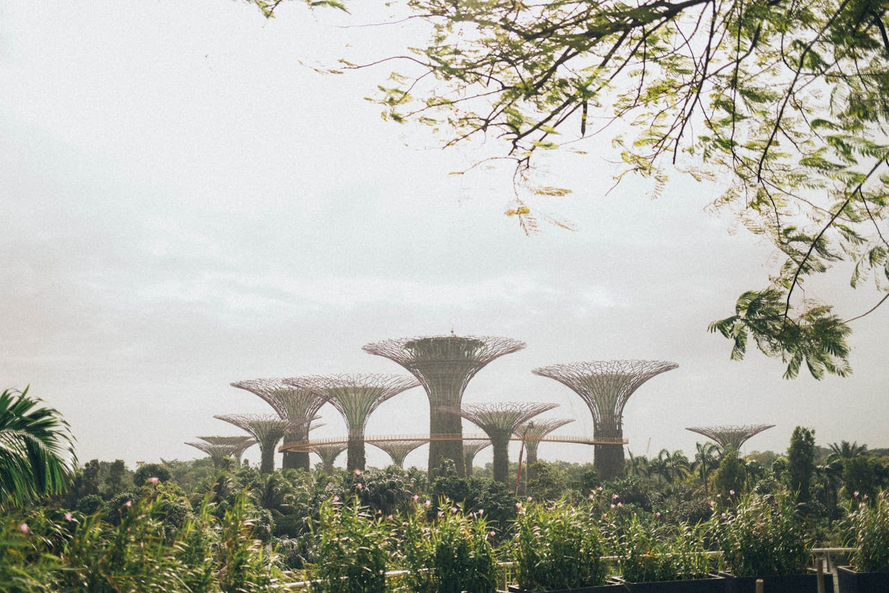 Una guía completa sobre el Dependant’s Pass para vivir en Singapur Una guía completa sobre el Dependant’s Pass para vivir en Singapur