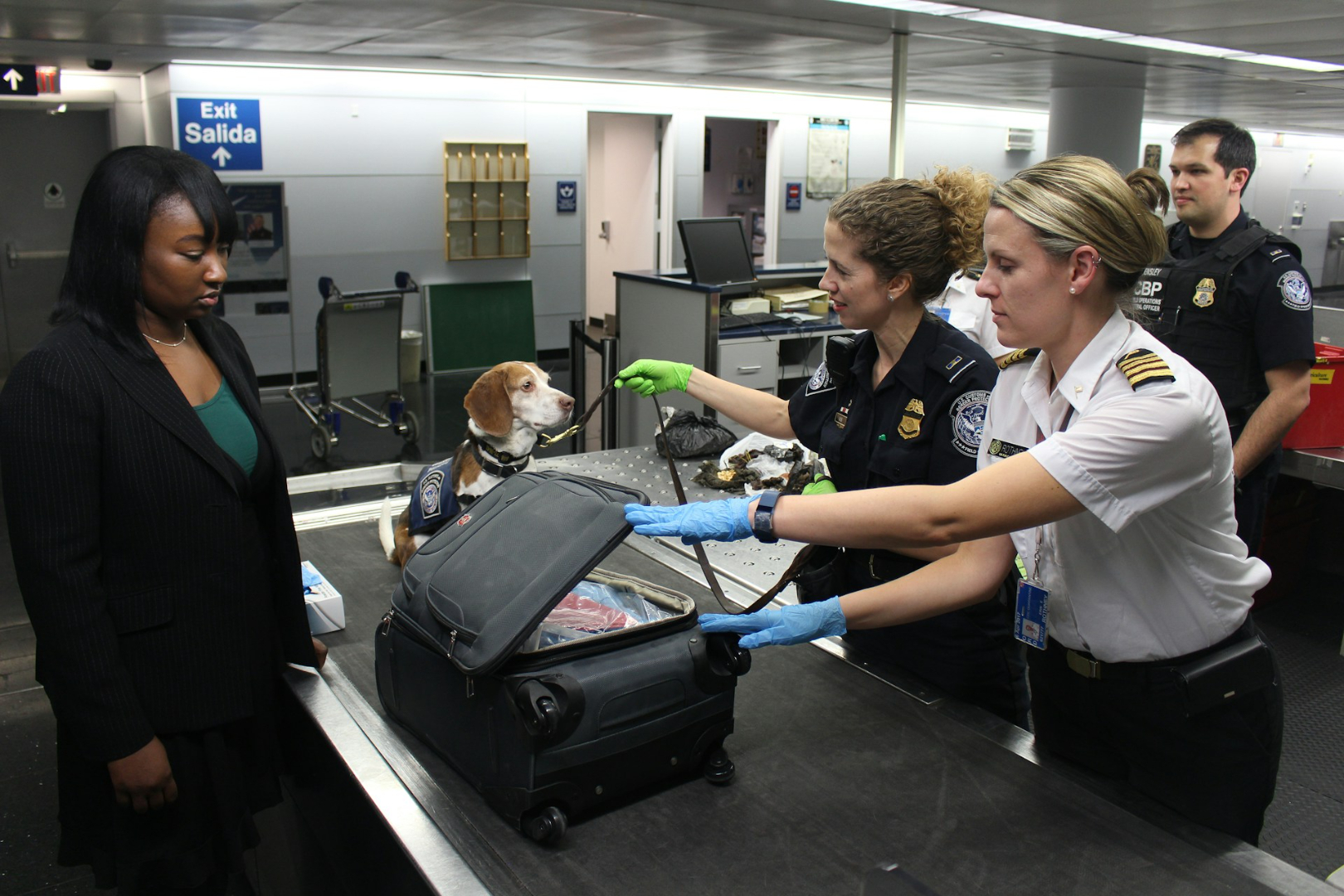 ¿Viajas a EE. UU. con visa F1 y mascota? Lo que debes saber ¿Viajas a EE. UU. con visa F1 y mascota? Lo que debes saber