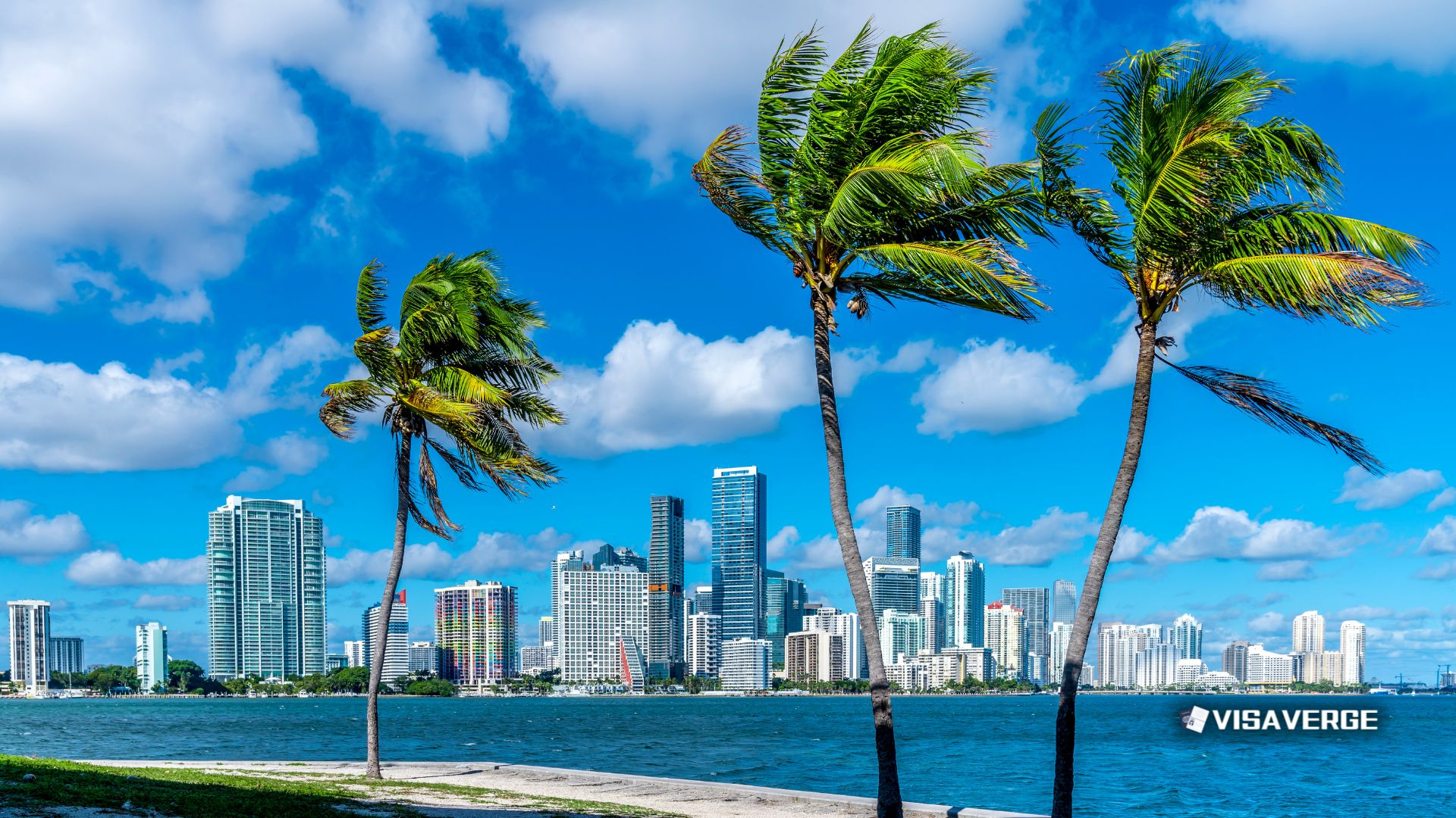 Immigrants Drive Growth in Miami-Dade County and Illinois, Says Report Immigrants Drive Growth in Miami-Dade County and Illinois, Says Report