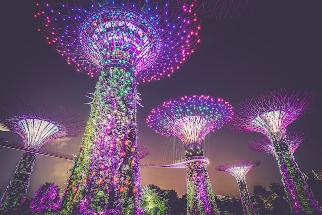 Una guía completa sobre el Training Work Permit para trabajar en Singapur Una guía completa sobre el Training Work Permit para trabajar en Singapur