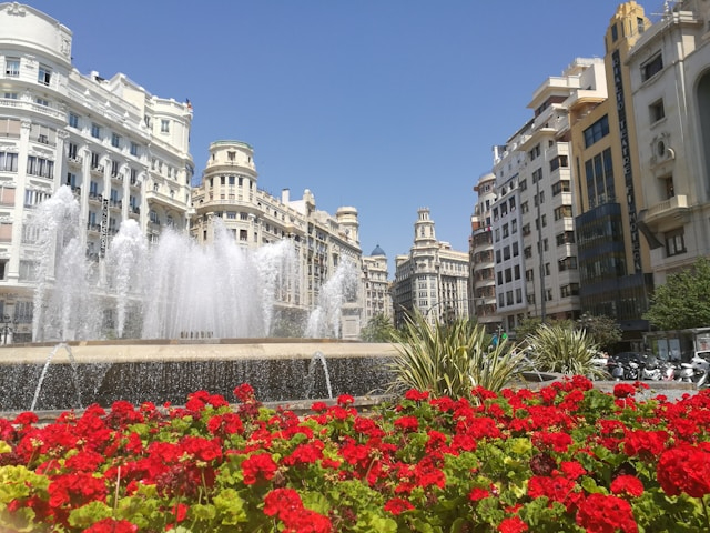 Spain National (Type D) Entrepreneur Visa opens path for innovative business Spain National (Type D) Entrepreneur Visa opens path for innovative business