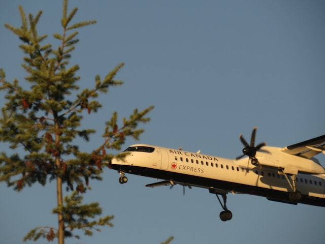Guía para contactar a Air Canada servicio al cliente fácilmente Guía para contactar a Air Canada servicio al cliente fácilmente