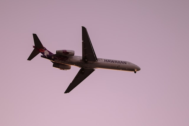 A Simple Guide to Hawaiian Airlines Customer Service Options A Simple Guide to Hawaiian Airlines Customer Service Options