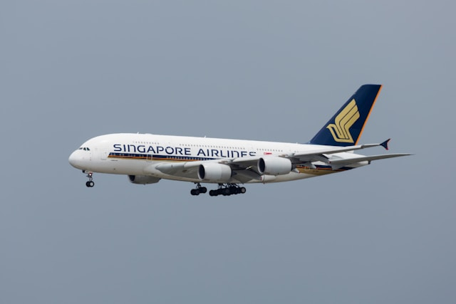 Singapore Airlines sees rising demand for flights to China Singapore Airlines sees rising demand for flights to China