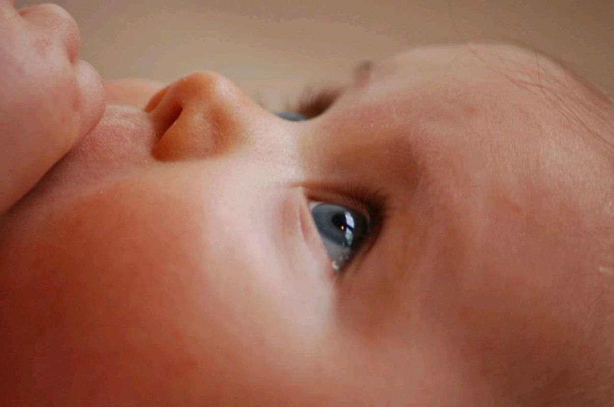 Trump administration weighs ,000 baby bonus to boost birth rate Trump administration weighs ,000 baby bonus to boost birth rate
