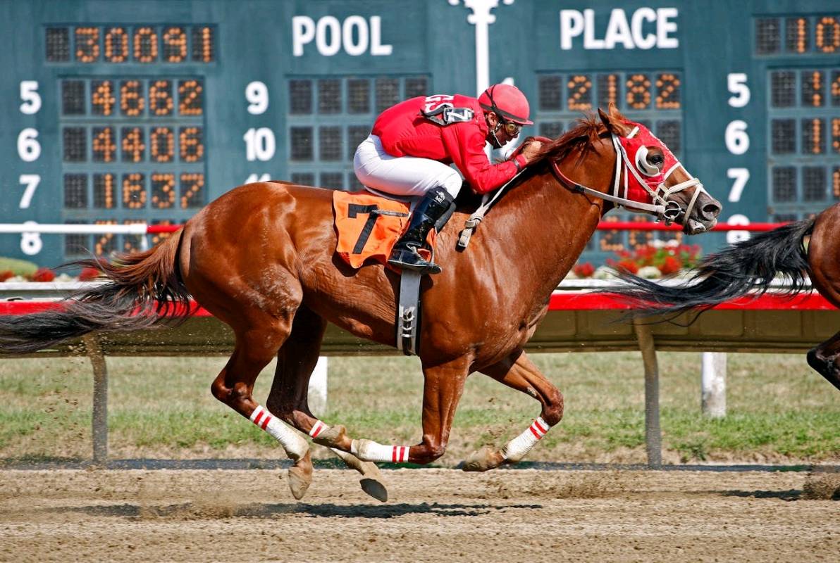Kentucky Derby congela remodelación por aranceles Kentucky Derby congela remodelación por aranceles