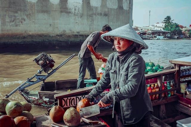 Problemas Técnicos con el E-Visa de Vietnam y Soluciones Alternativas