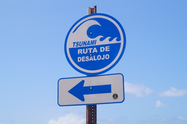 Cruise Ships Forced to Depart Hawaii Early After Tsunami Alert Cruise Ships Forced to Depart Hawaii Early After Tsunami Alert