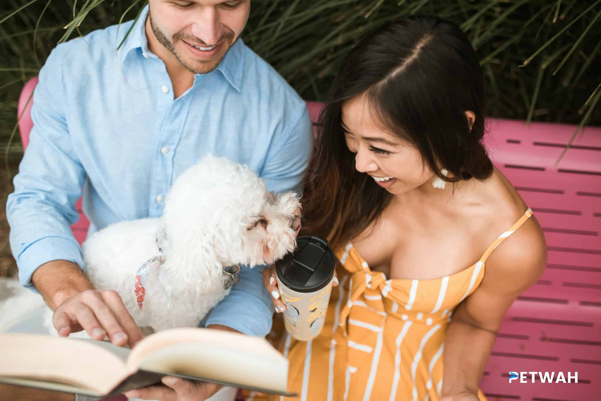Celebrating Milestones: Unique Ways for Couples to Honor Their Poodle's Special Moments
