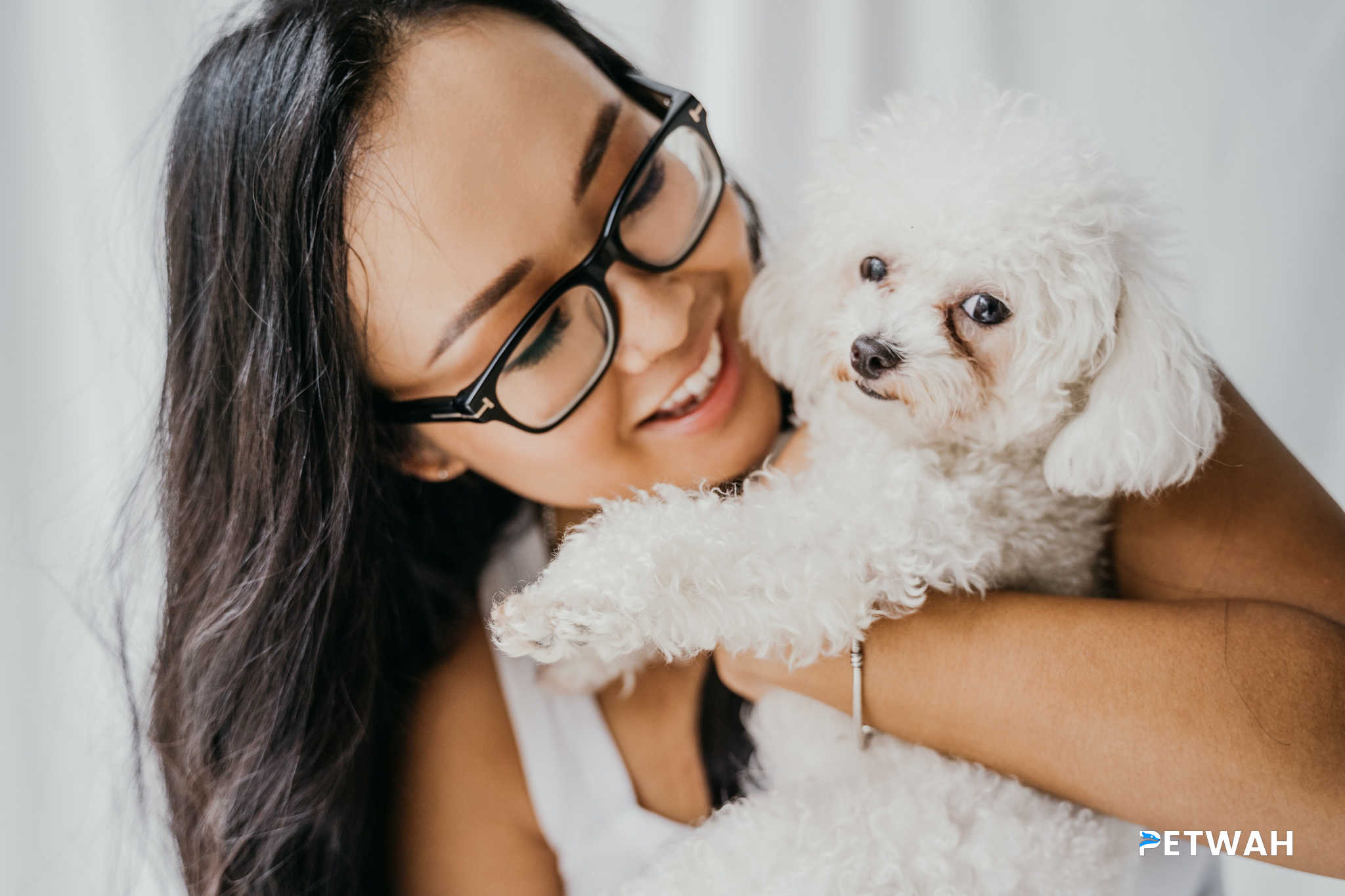 Poodle Grooming and Healthcare Essentials for Pet Owners