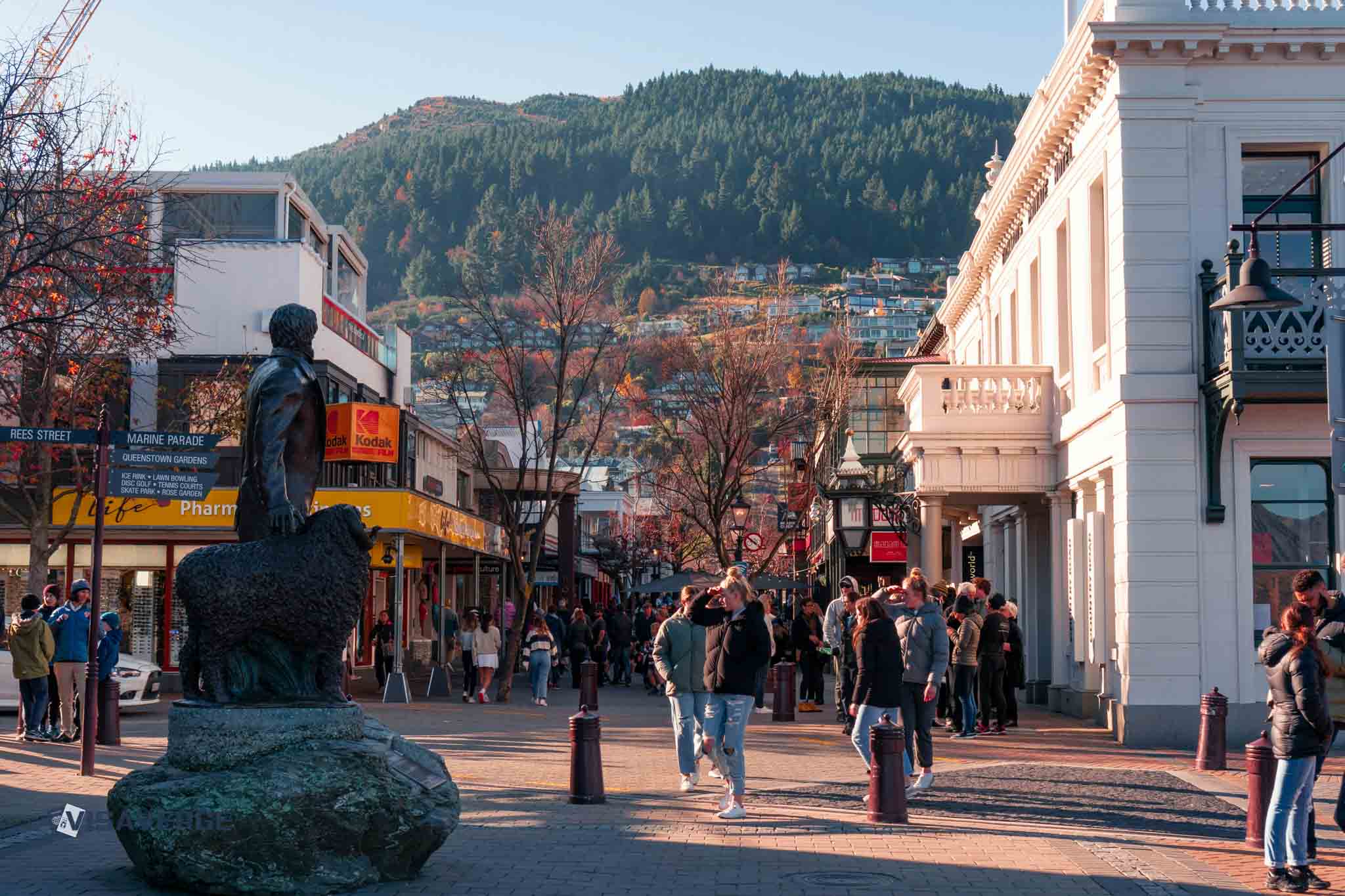 New Zealand Working Holiday Visa: Age Restrictions & Guidelines