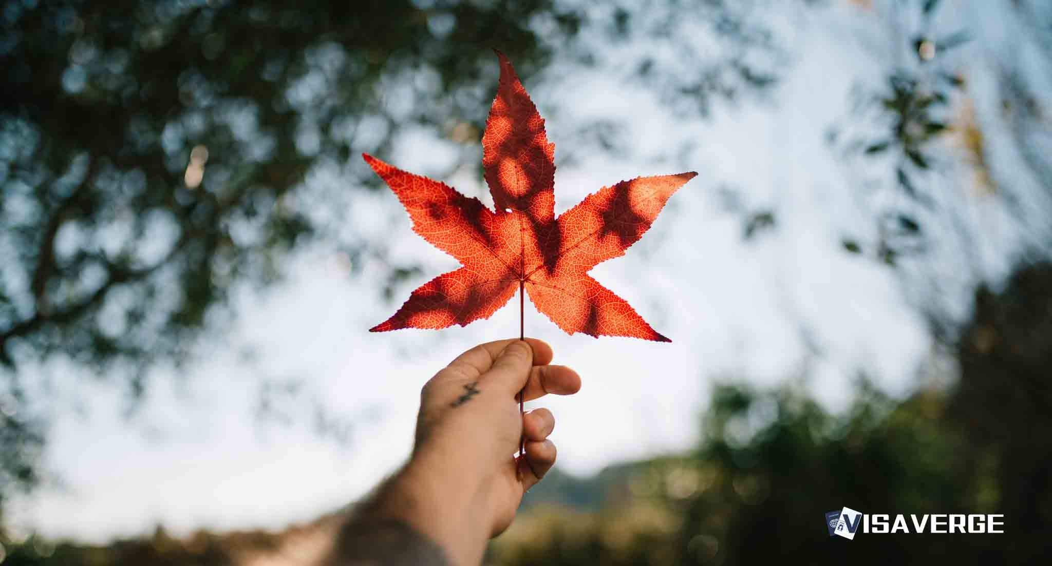How to sponsor your spouse or child for Canada immigration How to sponsor your spouse or child for Canada immigration