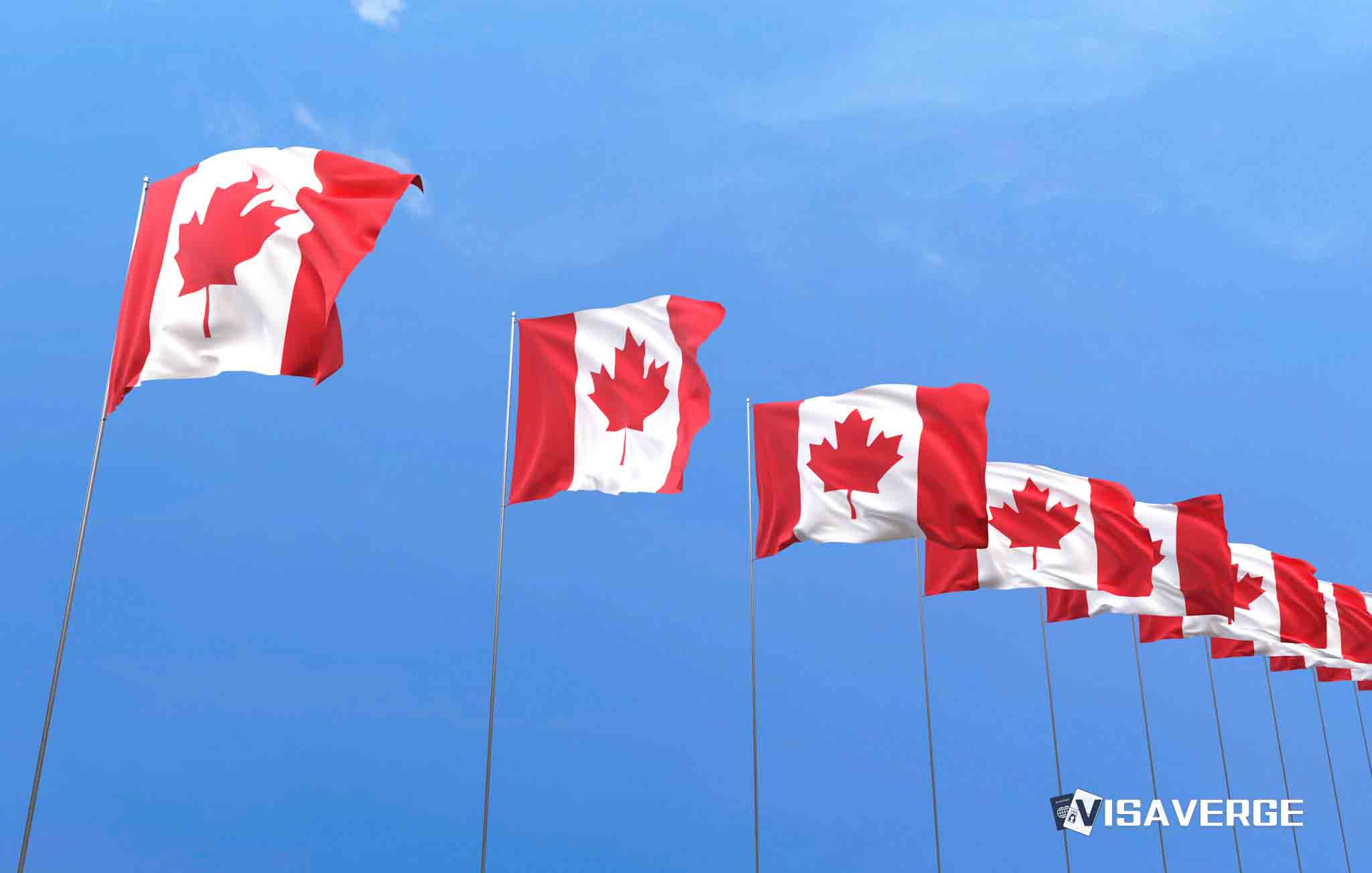 International students in Canada struggle as food insecurity rises International students in Canada struggle as food insecurity rises