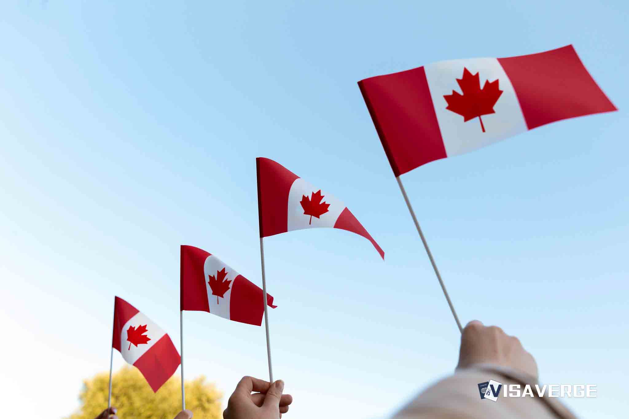 Trump Will Not Impose 50% Tariff on Canadian Steel, Advisor Confirms Trump Will Not Impose 50% Tariff on Canadian Steel, Advisor Confirms