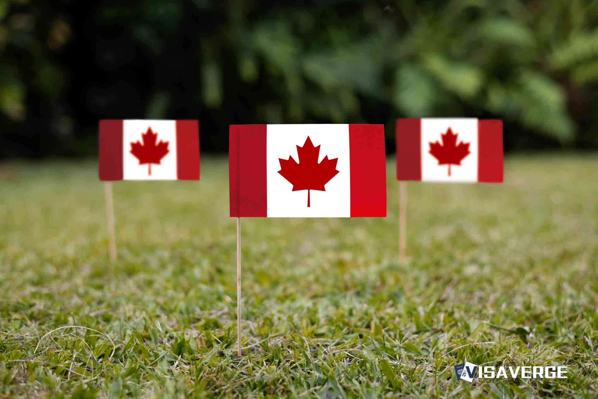 Ottawa Destina 0 Millones para los Costos de Inmigración en Quebec Ottawa Destina 0 Millones para los Costos de Inmigración en Quebec