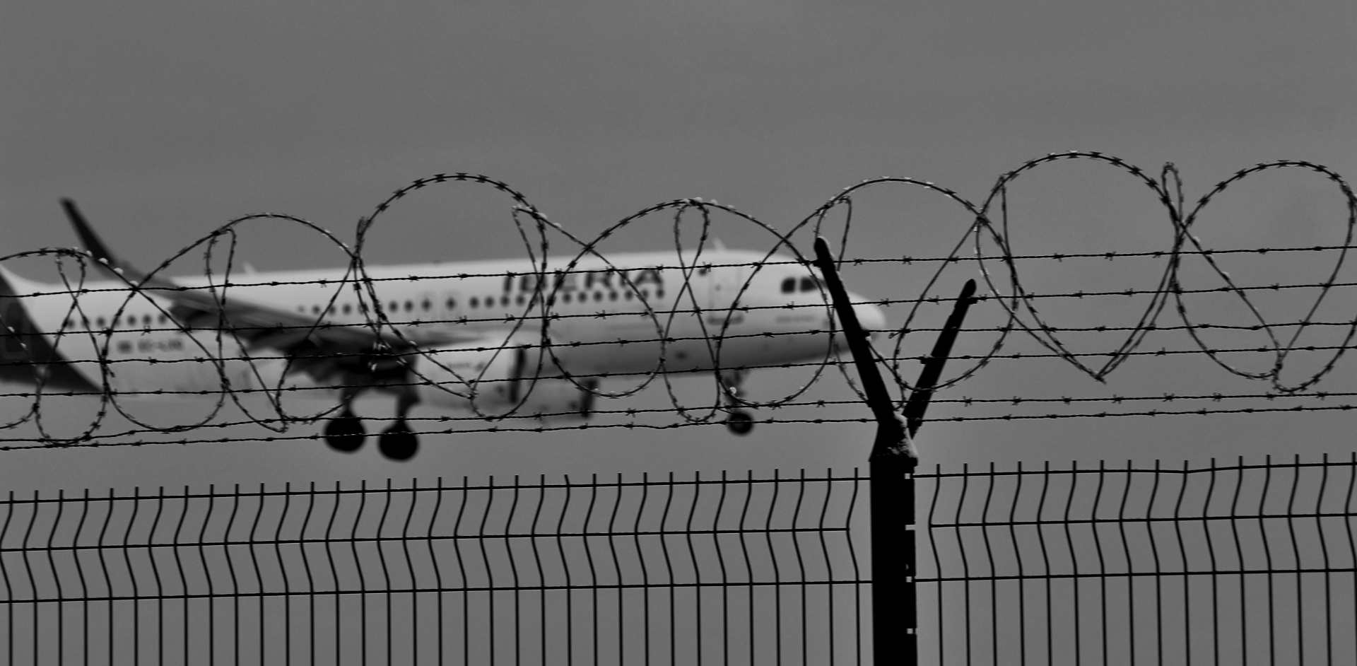 Interrupción en aeropuerto de Edmonton: 25 minutos de paro y cómo mantenerse informado Interrupción en aeropuerto de Edmonton: 25 minutos de paro y cómo mantenerse informado