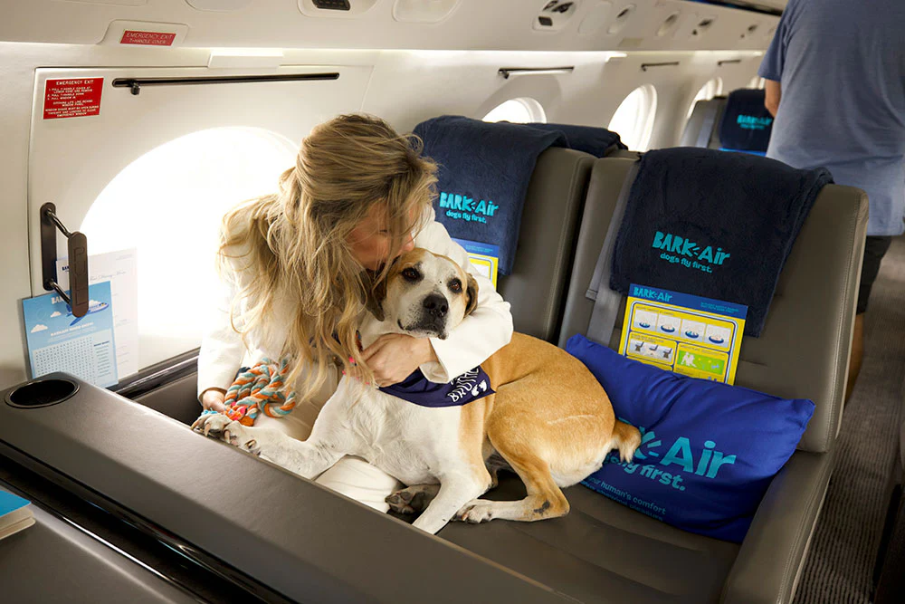 Perros de terapia se integran al equipo del Aeropuerto Regional Coastal Carolina