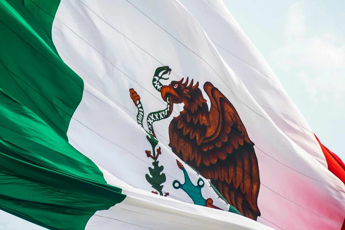 La bandera mexicana como símbolo en protestas de Los Ángeles: Lo que debes saber La bandera mexicana como símbolo en protestas de Los Ángeles: Lo que debes saber