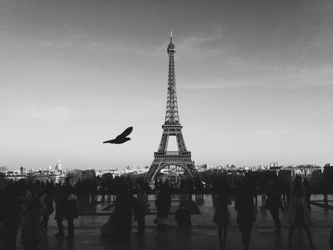 France expands EU Blue Card access for skilled workers with experience France expands EU Blue Card access for skilled workers with experience