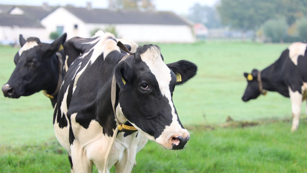Van Orden, Dairy Groups Push Year-Round Farm Worker Reform