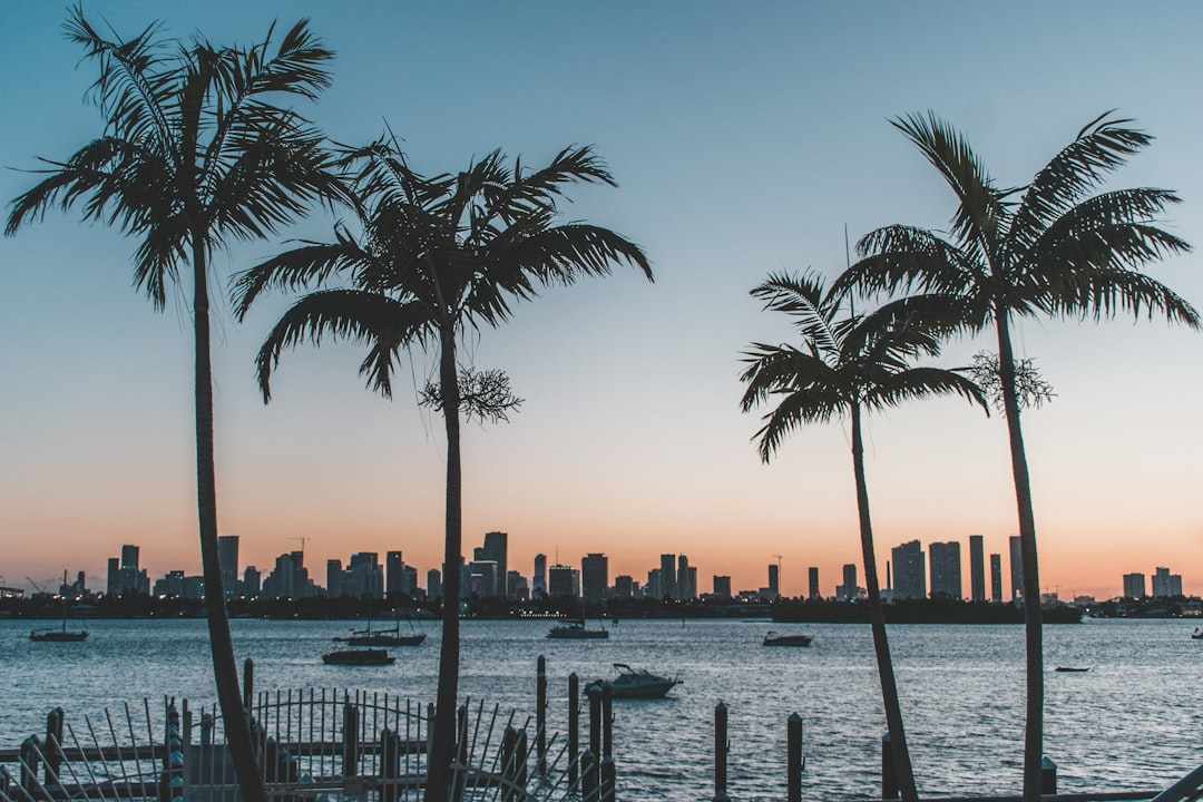 Legisladores de Miami piden medidas tras fallo de la Corte Suprema sobre TPS venezolano Legisladores de Miami piden medidas tras fallo de la Corte Suprema sobre TPS venezolano