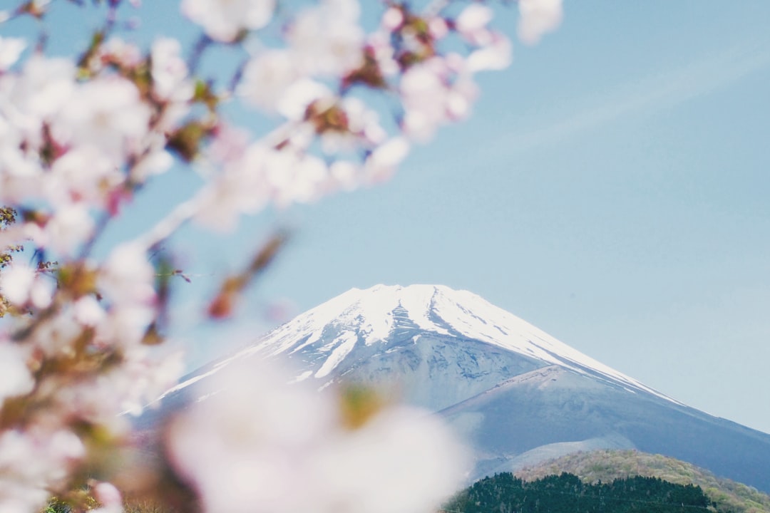 Inmigración en Japón: repensando la protección a refugiados en un mundo cambiante Inmigración en Japón: repensando la protección a refugiados en un mundo cambiante