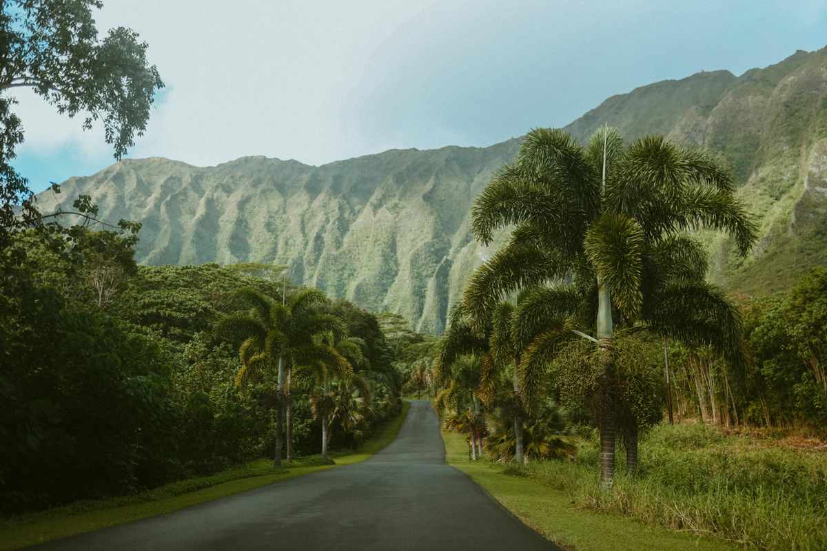 Los Dreamliners de Hawaiian desaparecen de vuelos mientras cambia su identidad Los Dreamliners de Hawaiian desaparecen de vuelos mientras cambia su identidad