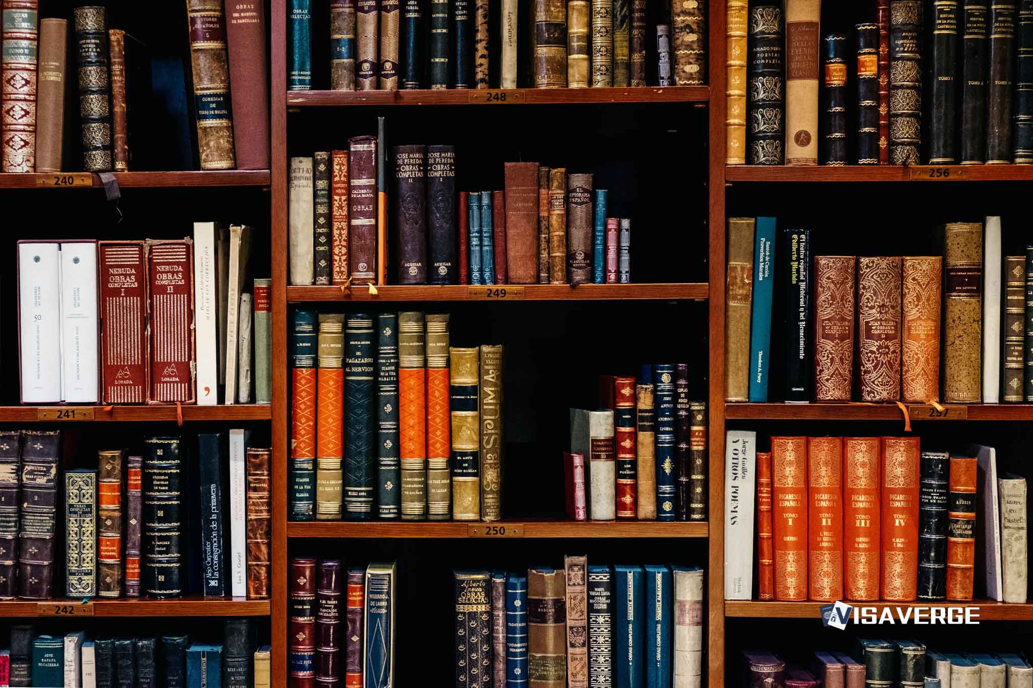 Navigating OPT Academic Probation and Visa Status Issues: What to Do
